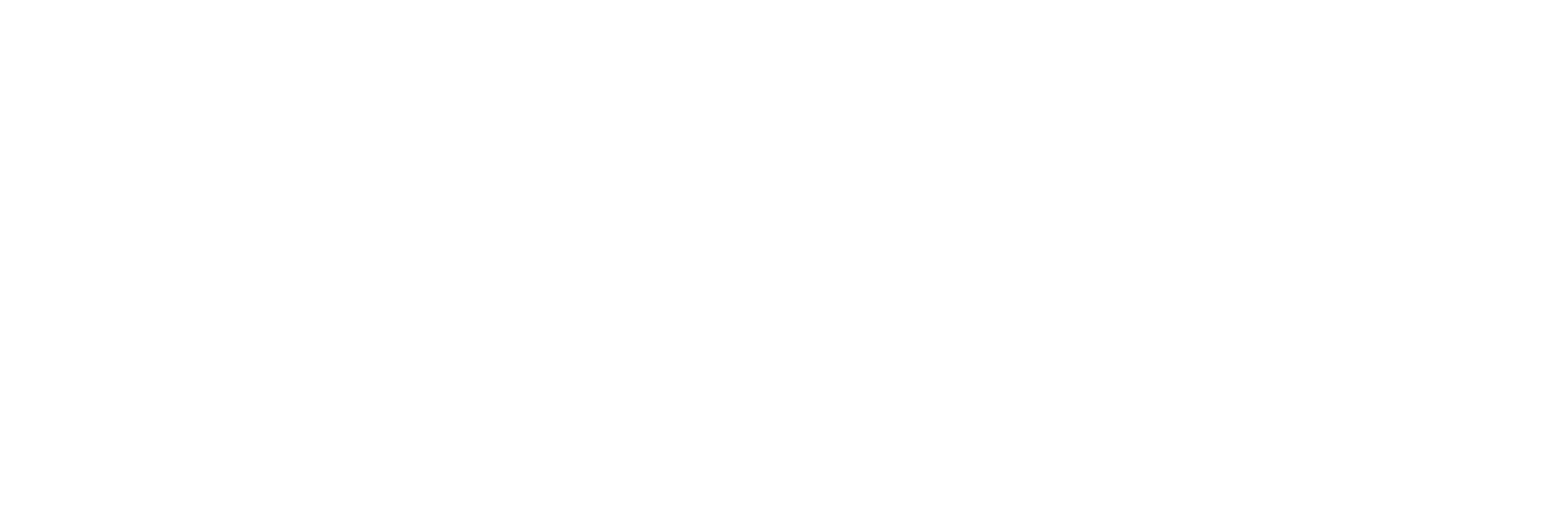 Bidu Fares